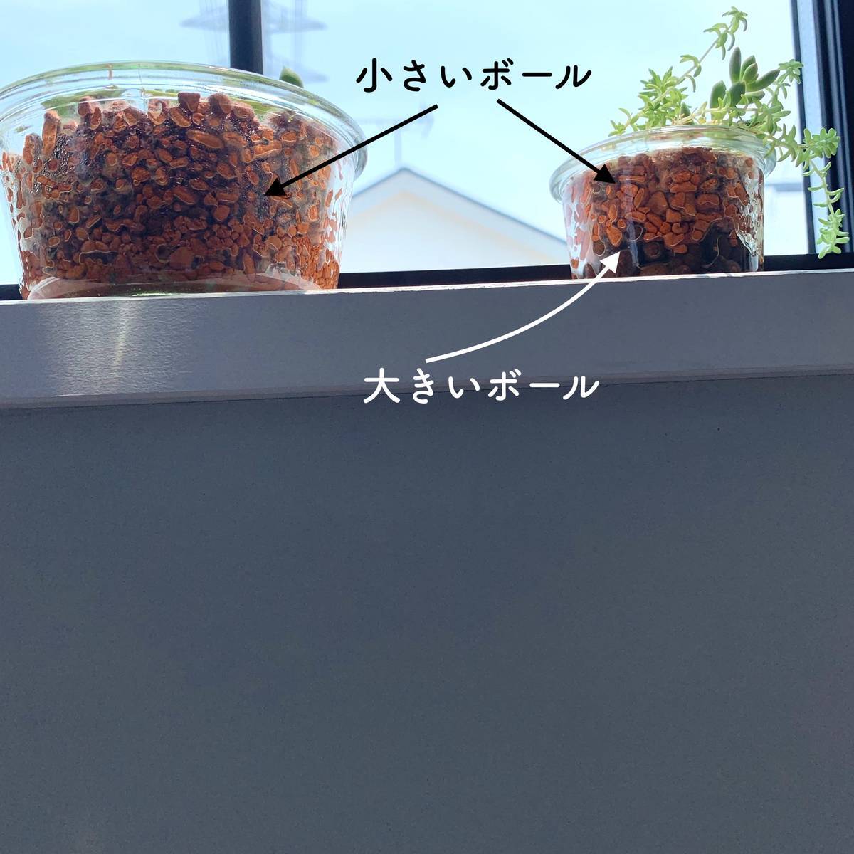 f:id:mashley_slt:20190721222253j:plain f:id:mashley_slt:20190721222253j:plain
