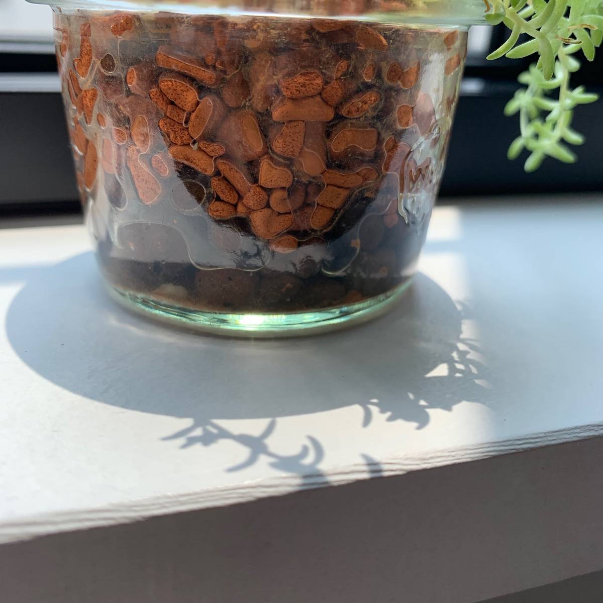 f:id:mashley_slt:20190721222344j:plain f:id:mashley_slt:20190721222344j:plain