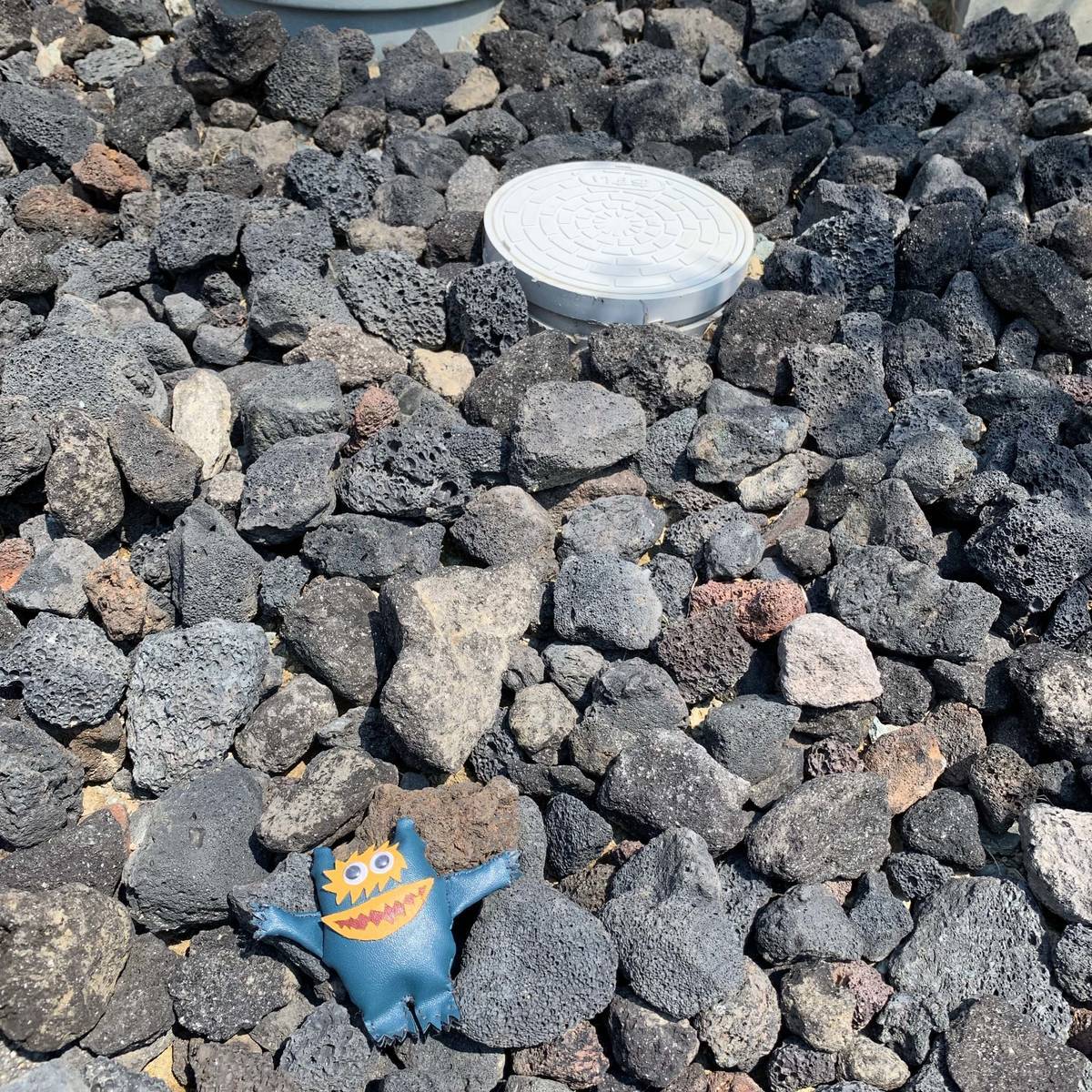 f:id:mashley_slt:20190803182059j:plain