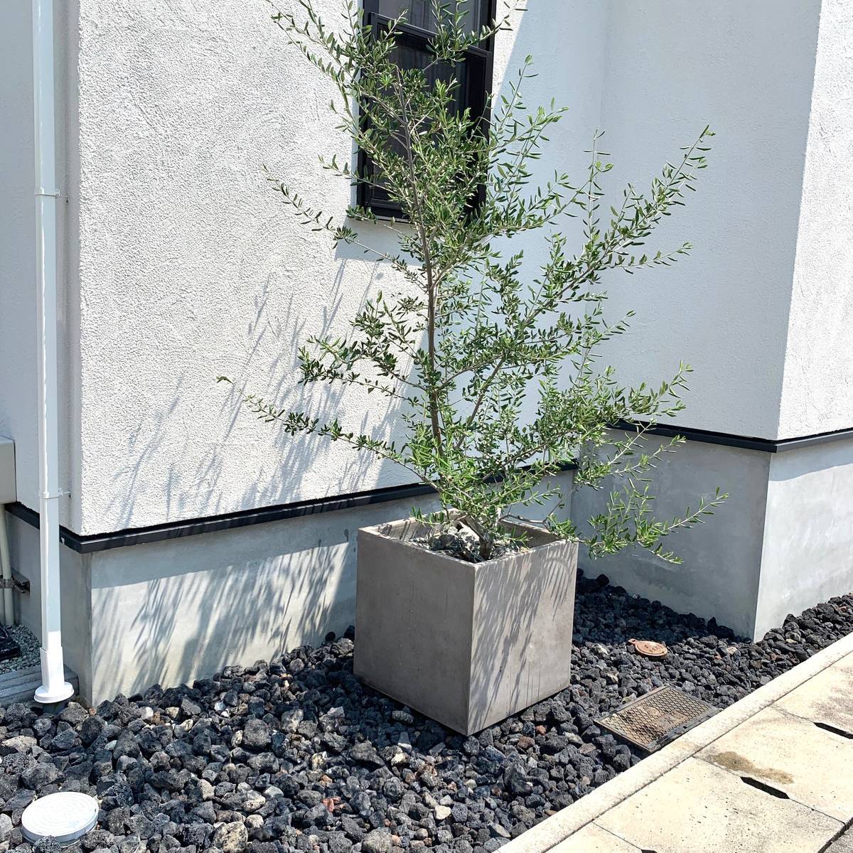 f:id:mashley_slt:20190803182204j:plain