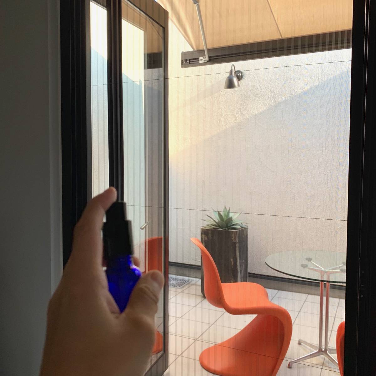 f:id:mashley_slt:20190803203550j:plain