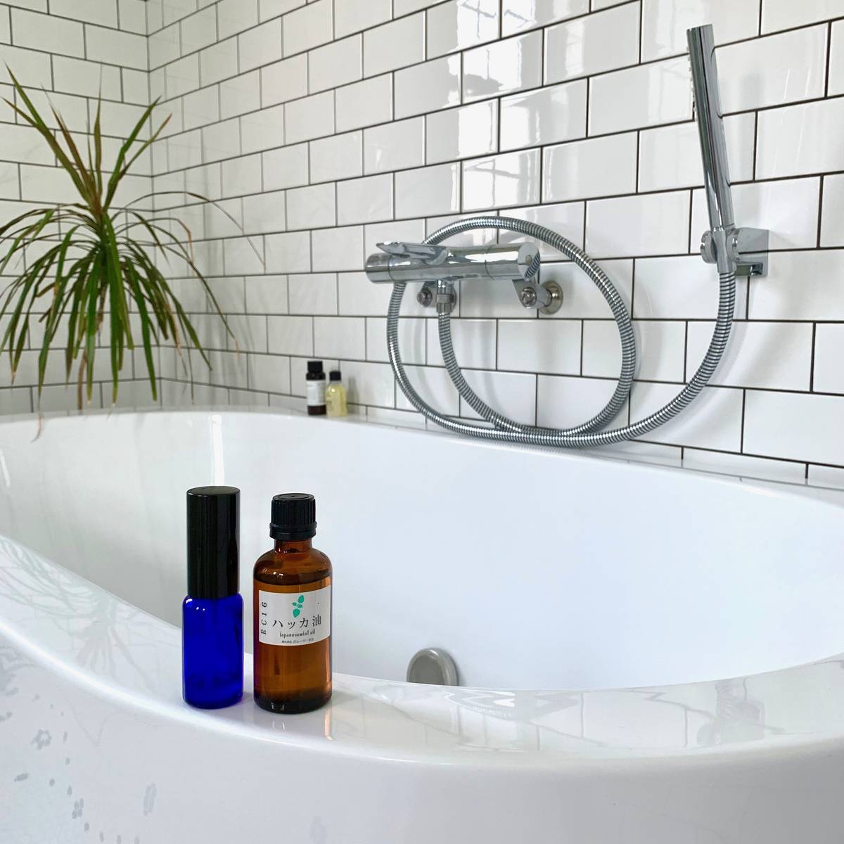 f:id:mashley_slt:20190803204728j:plain