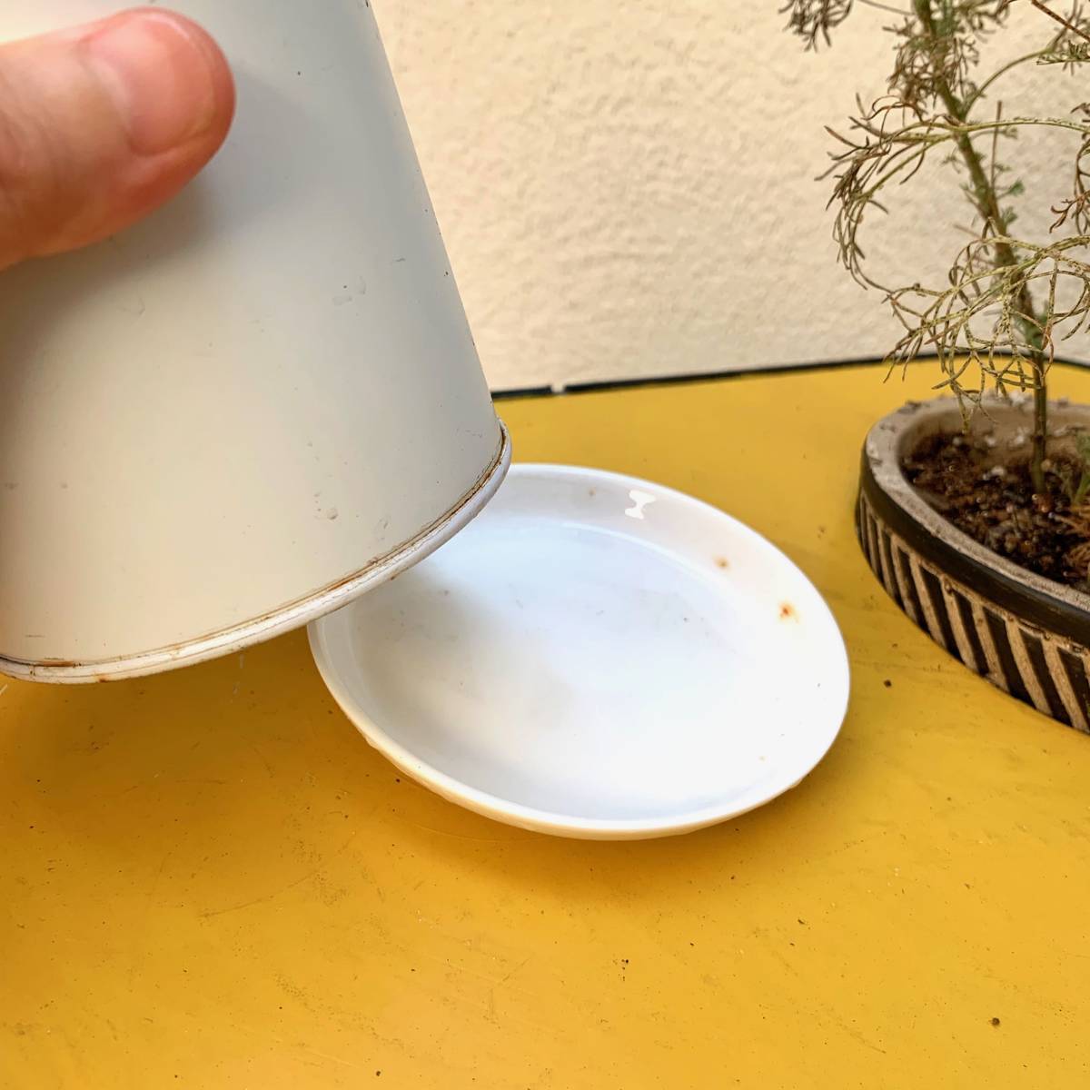 f:id:mashley_slt:20190803204840j:plain