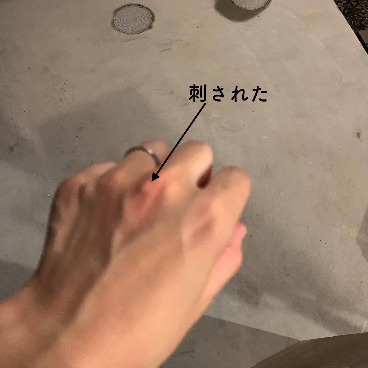 f:id:mashley_slt:20190803205223j:plain