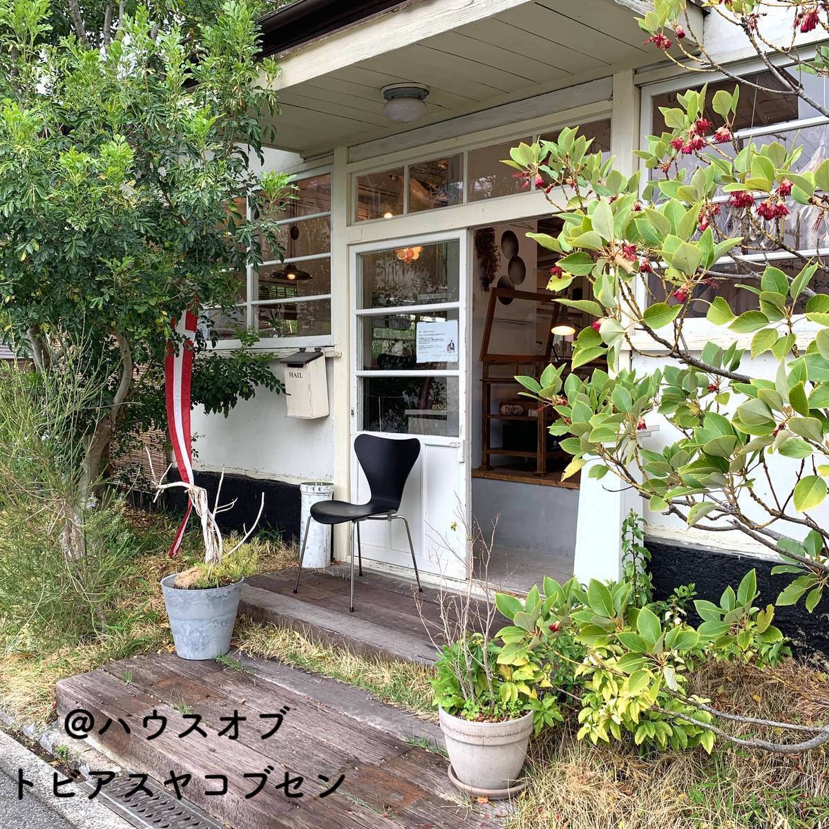 f:id:mashley_slt:20190809222720j:plain