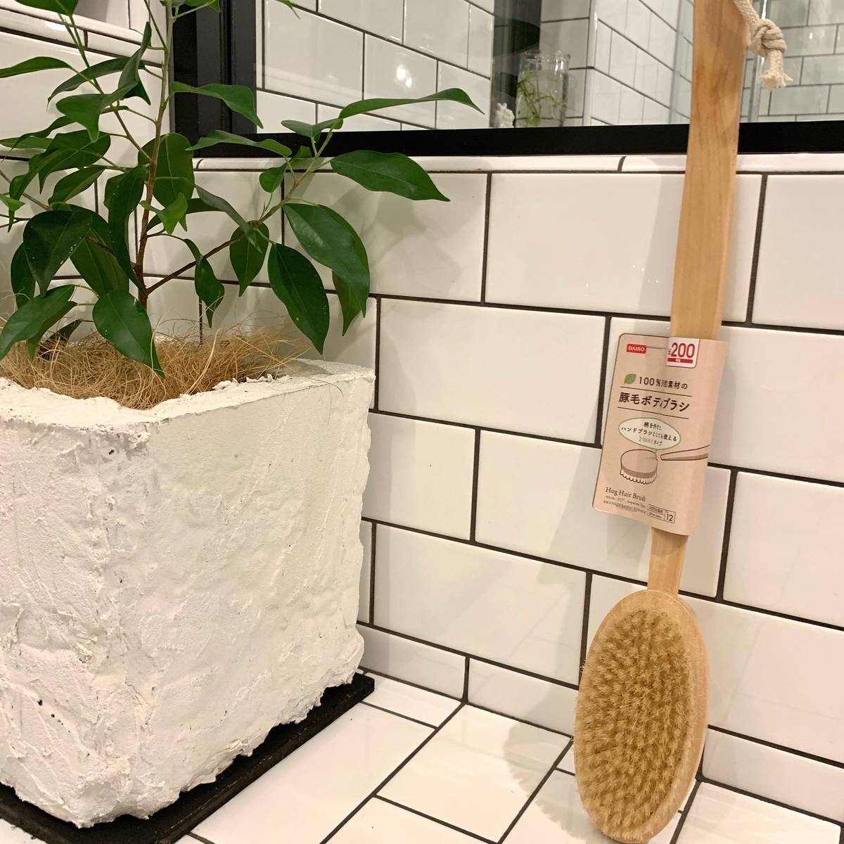f:id:mashley_slt:20190824210059j:plain