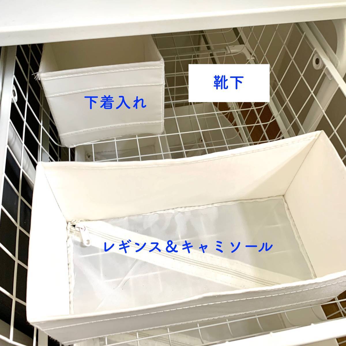 f:id:mashley_slt:20190827233846j:plain
