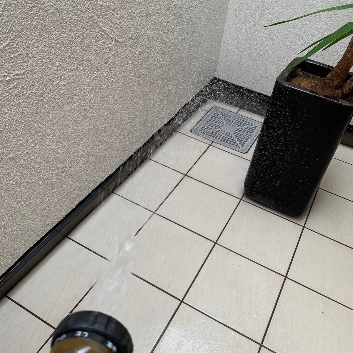 f:id:mashley_slt:20190902220957j:plain f:id:mashley_slt:20190902220957j:plain