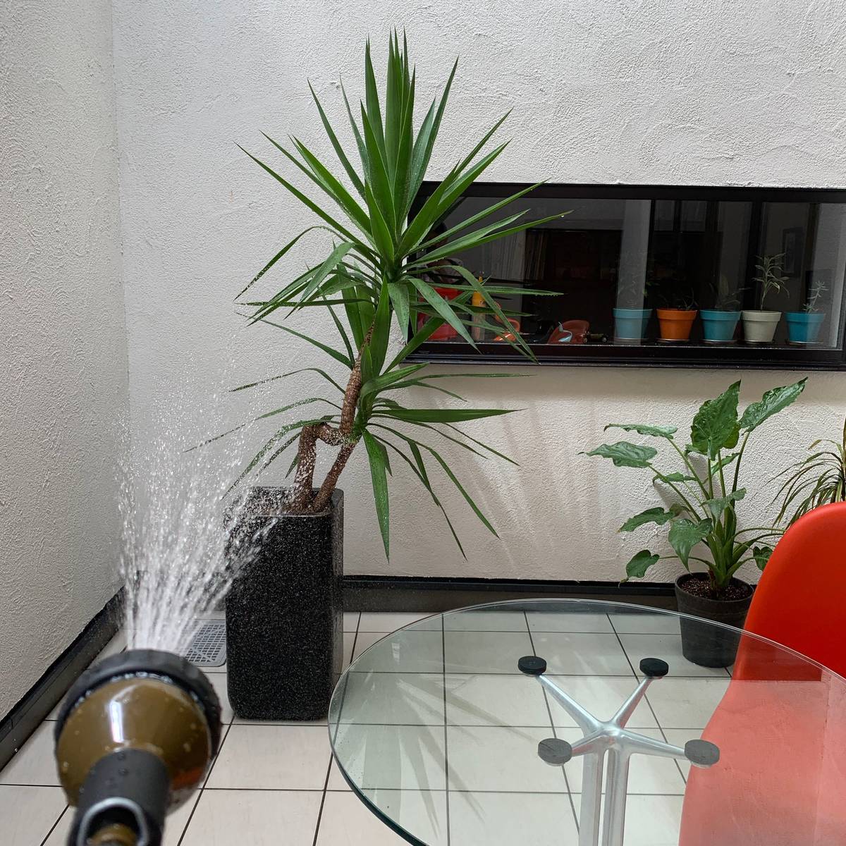 f:id:mashley_slt:20190902221021j:plain f:id:mashley_slt:20190902221021j:plain