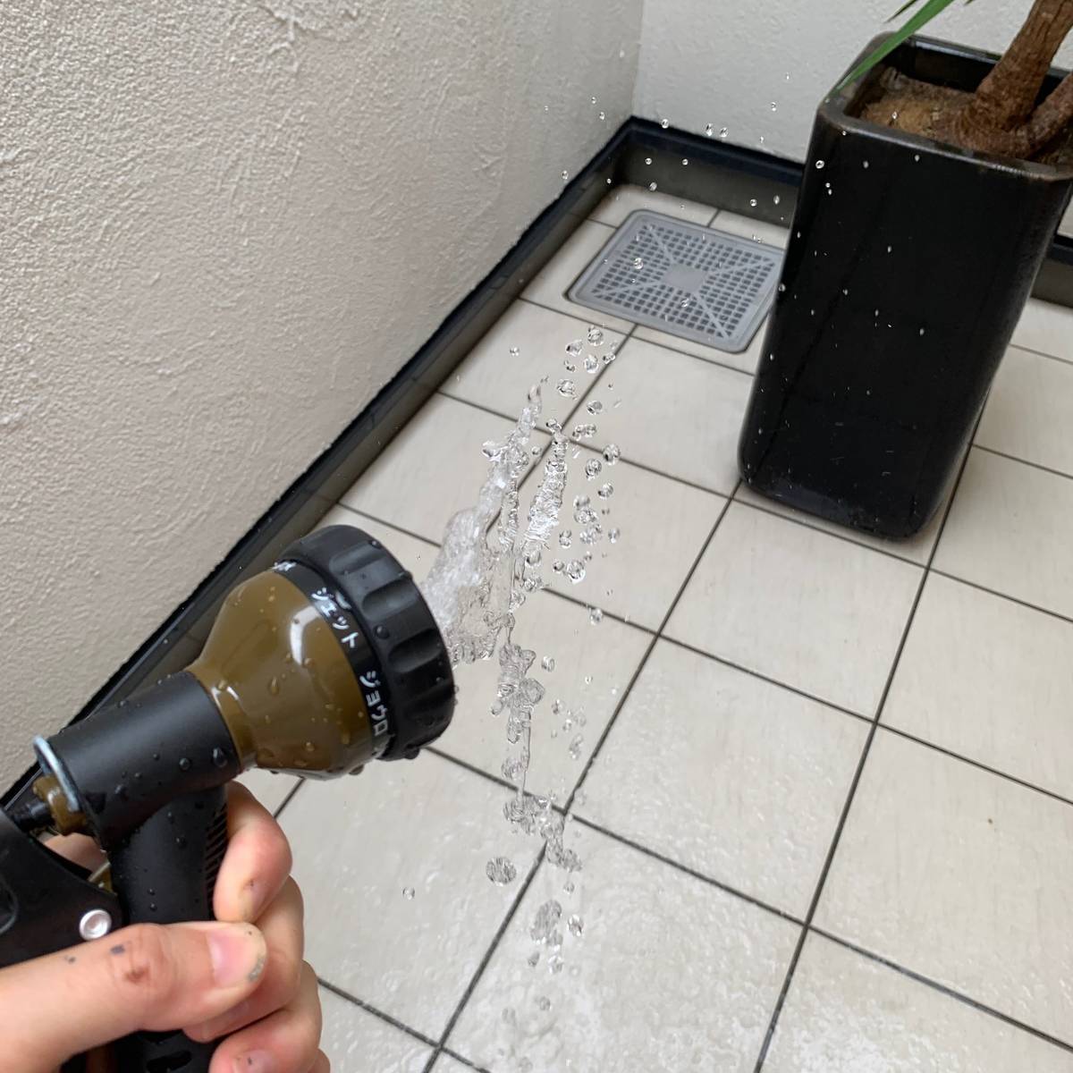 f:id:mashley_slt:20190902221248j:plain f:id:mashley_slt:20190902221248j:plain