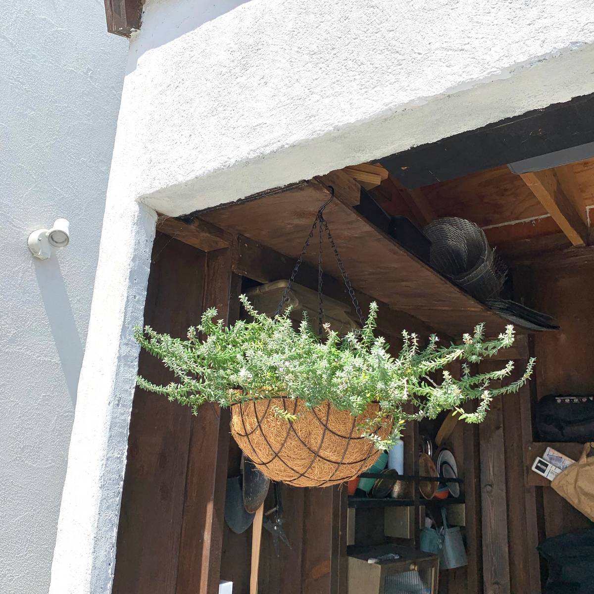 f:id:mashley_slt:20190905111015j:plain f:id:mashley_slt:20190905111015j:plain