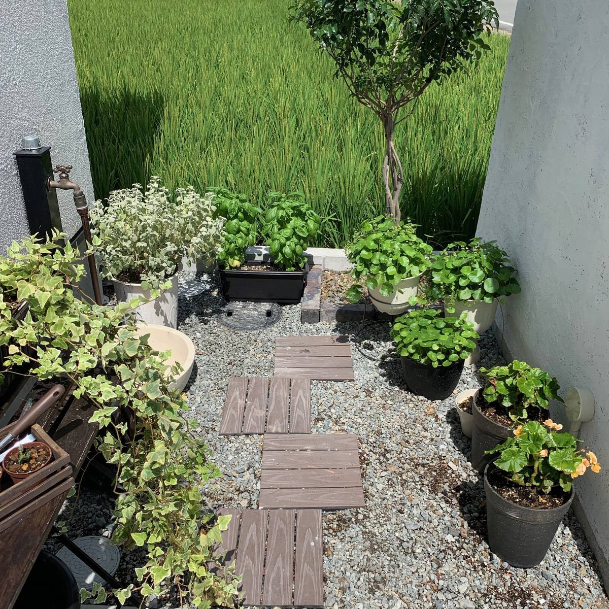小さな庭をdiyパーゴラやフェンスで変身するプロジェクト まずは手作りドア 北欧ミッドセンチュリーの家づくり