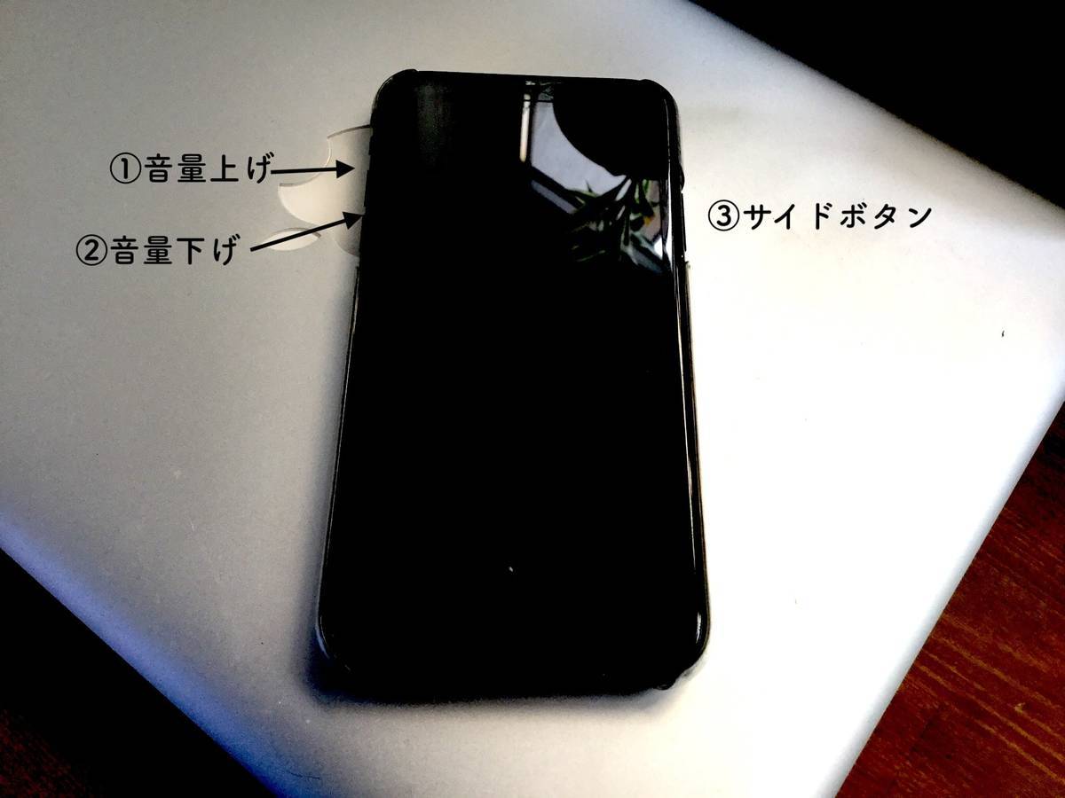 f:id:mashley_slt:20190908152725j:plain