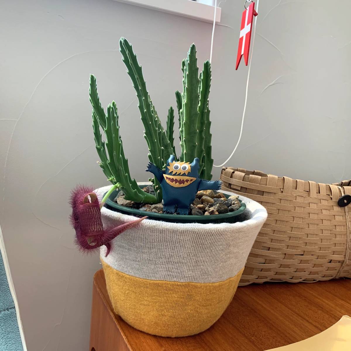 f:id:mashley_slt:20190915203634j:plain f:id:mashley_slt:20190915203634j:plain
