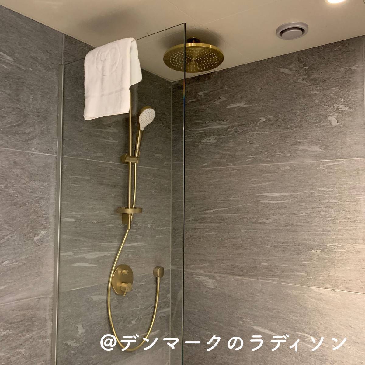 Totoの美しいオーバーヘッドシャワー付シャワーバーを一年半使ってみて 北欧ミッドセンチュリーの家づくり