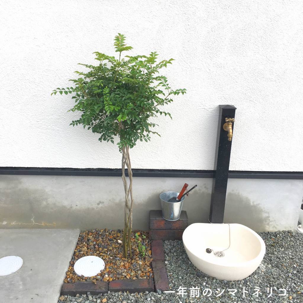 f:id:mashley_slt:20190920180830j:plain