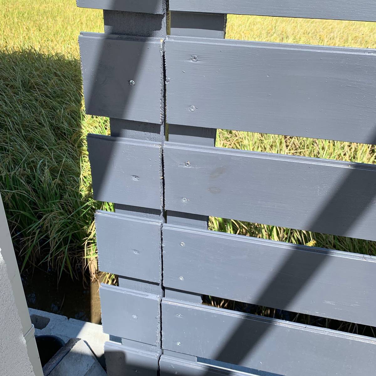 f:id:mashley_slt:20190925201743j:plain