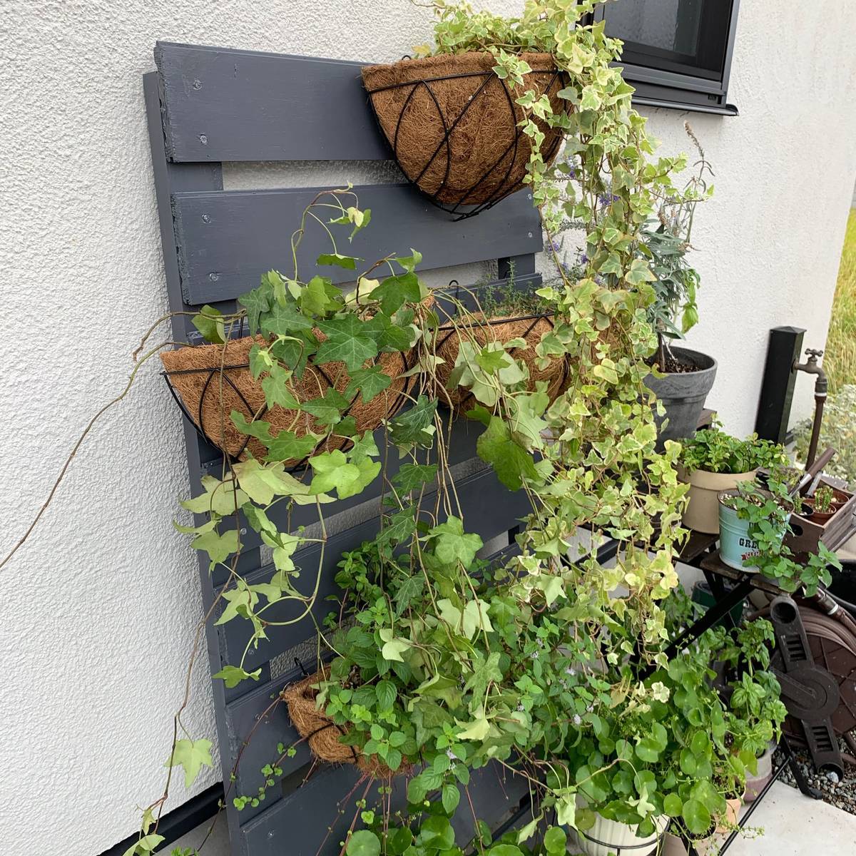 f:id:mashley_slt:20190925201910j:plain