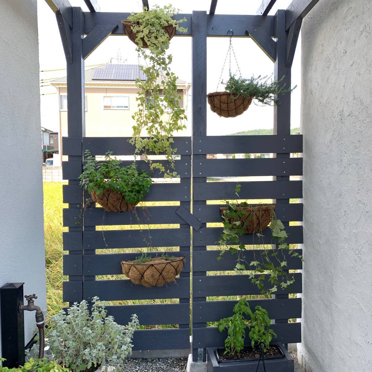 f:id:mashley_slt:20190925202153j:plain