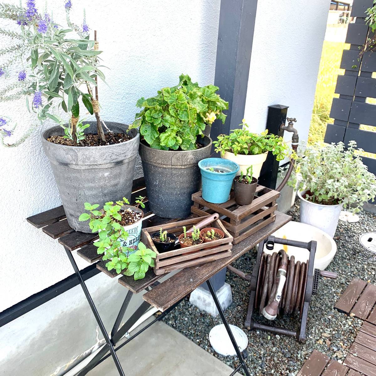 f:id:mashley_slt:20190925202514j:plain