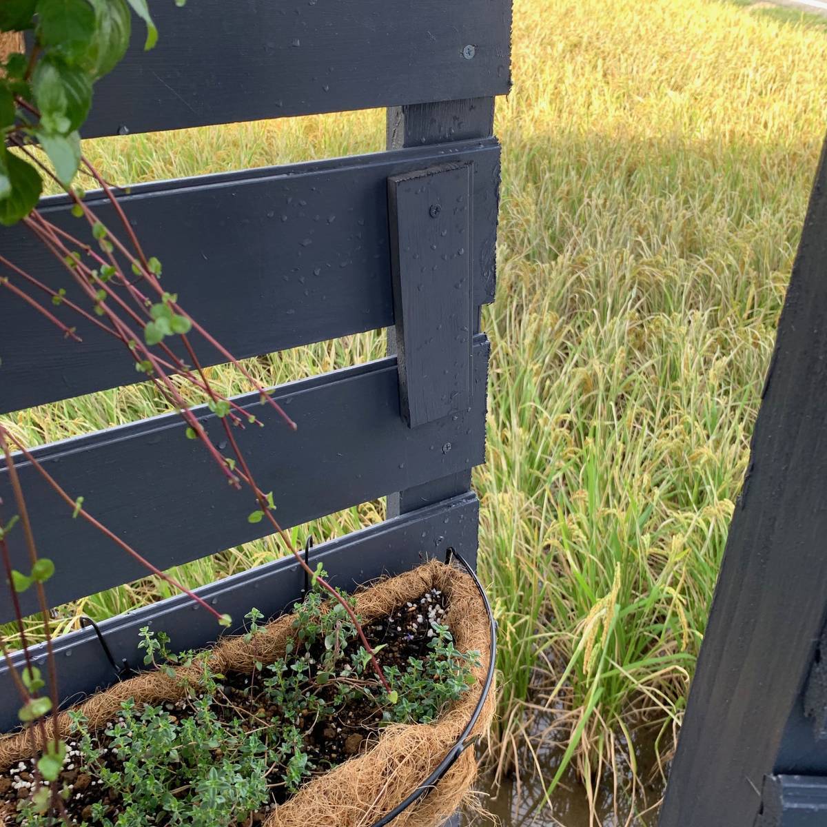 f:id:mashley_slt:20190925202640j:plain