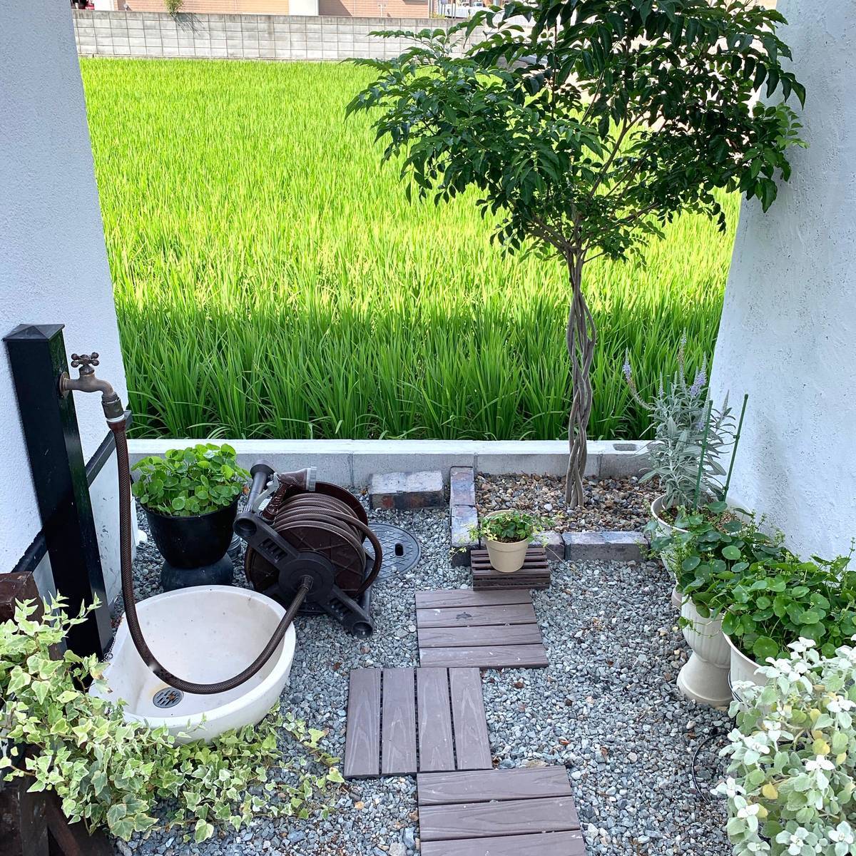 f:id:mashley_slt:20190925220003j:plain