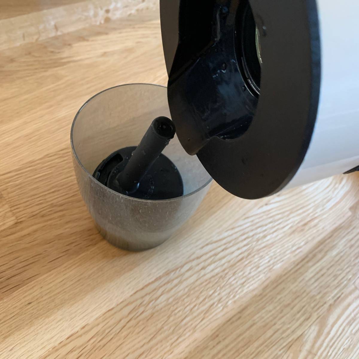 f:id:mashley_slt:20190929174747j:plain