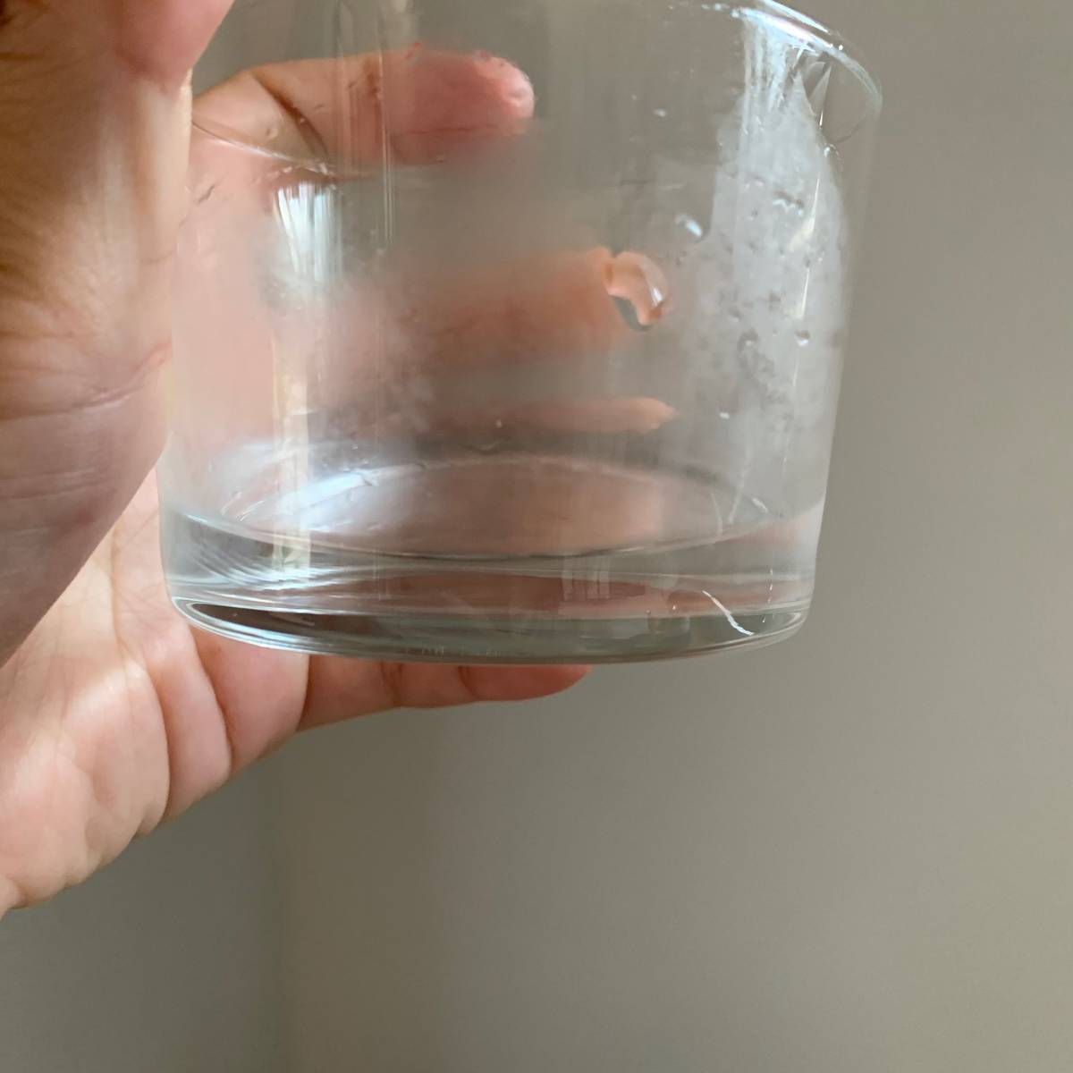 f:id:mashley_slt:20190929180245j:plain