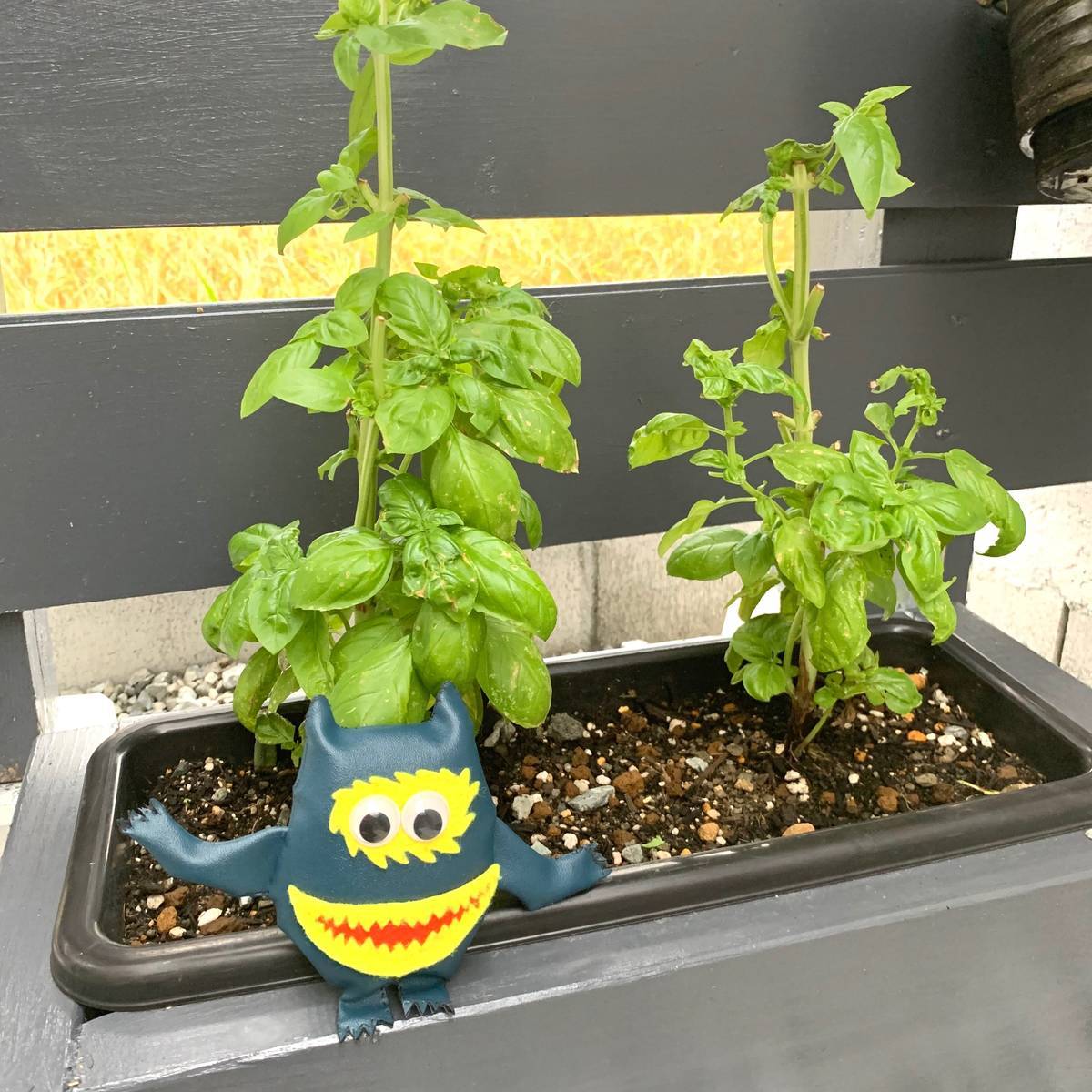 f:id:mashley_slt:20191006224316j:plain