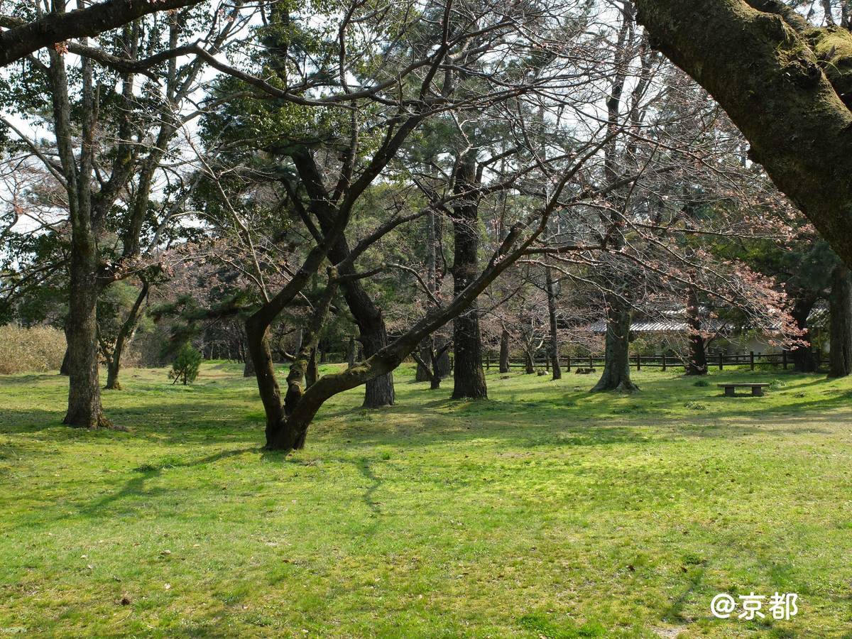 f:id:mashley_slt:20191006230214j:plain