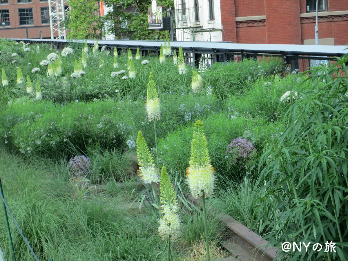 f:id:mashley_slt:20191006231614j:plain