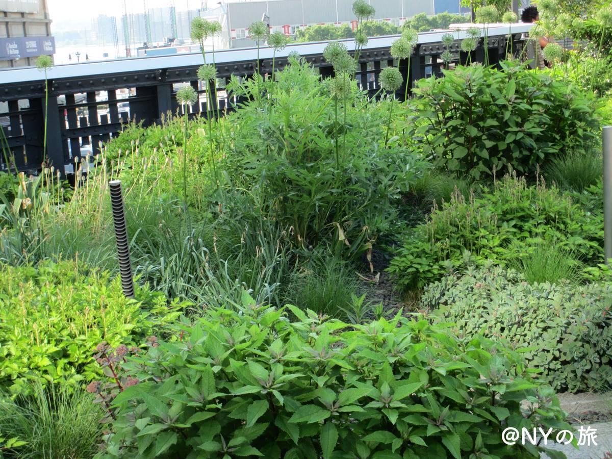 f:id:mashley_slt:20191006231713j:plain