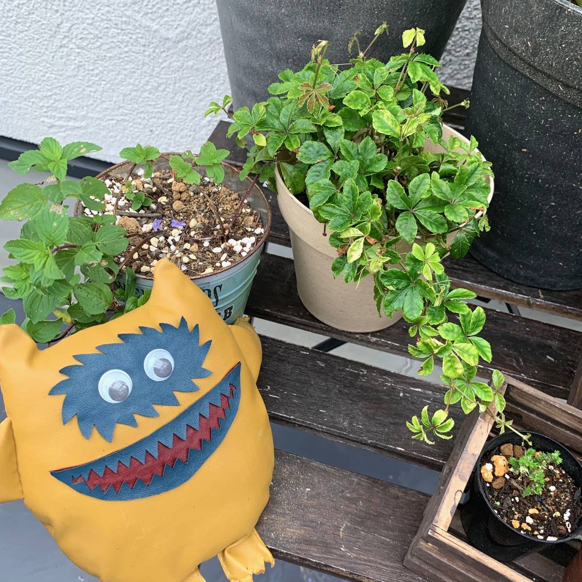 f:id:mashley_slt:20191006231854j:plain