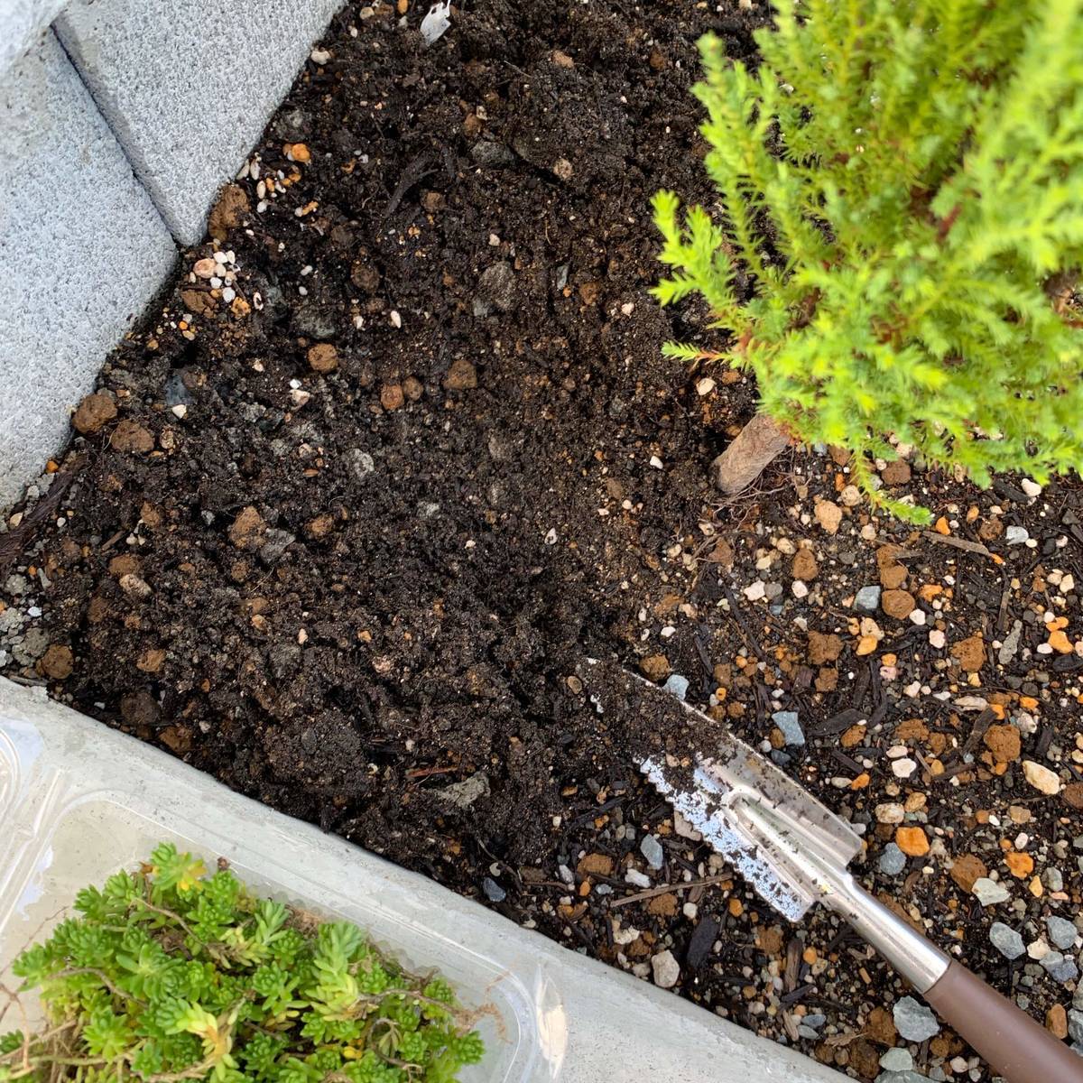 f:id:mashley_slt:20191006232230j:plain