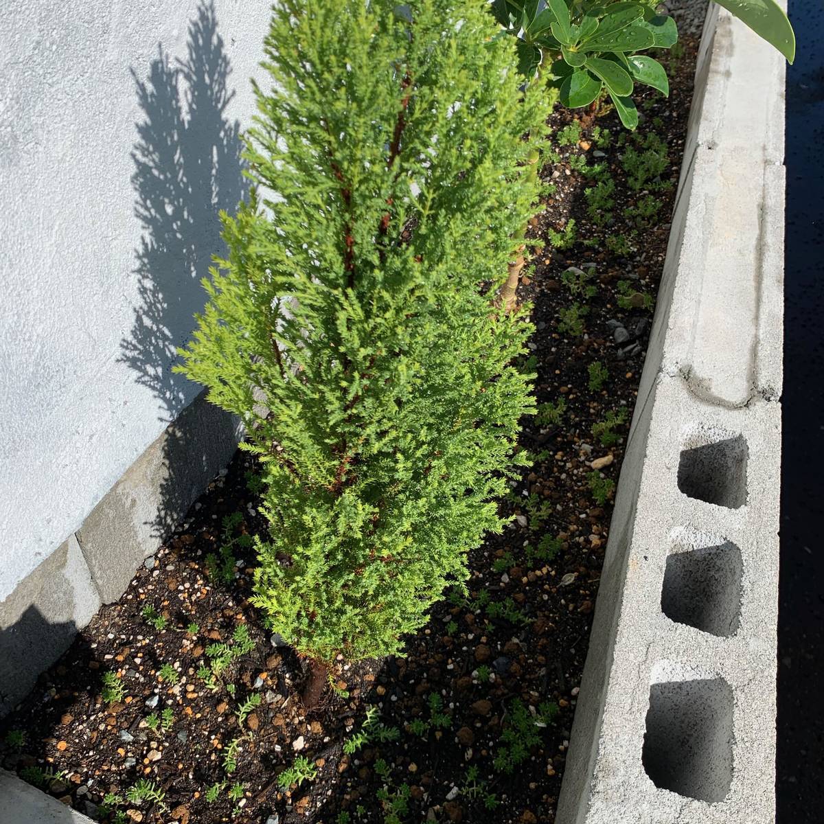 f:id:mashley_slt:20191006232327j:plain