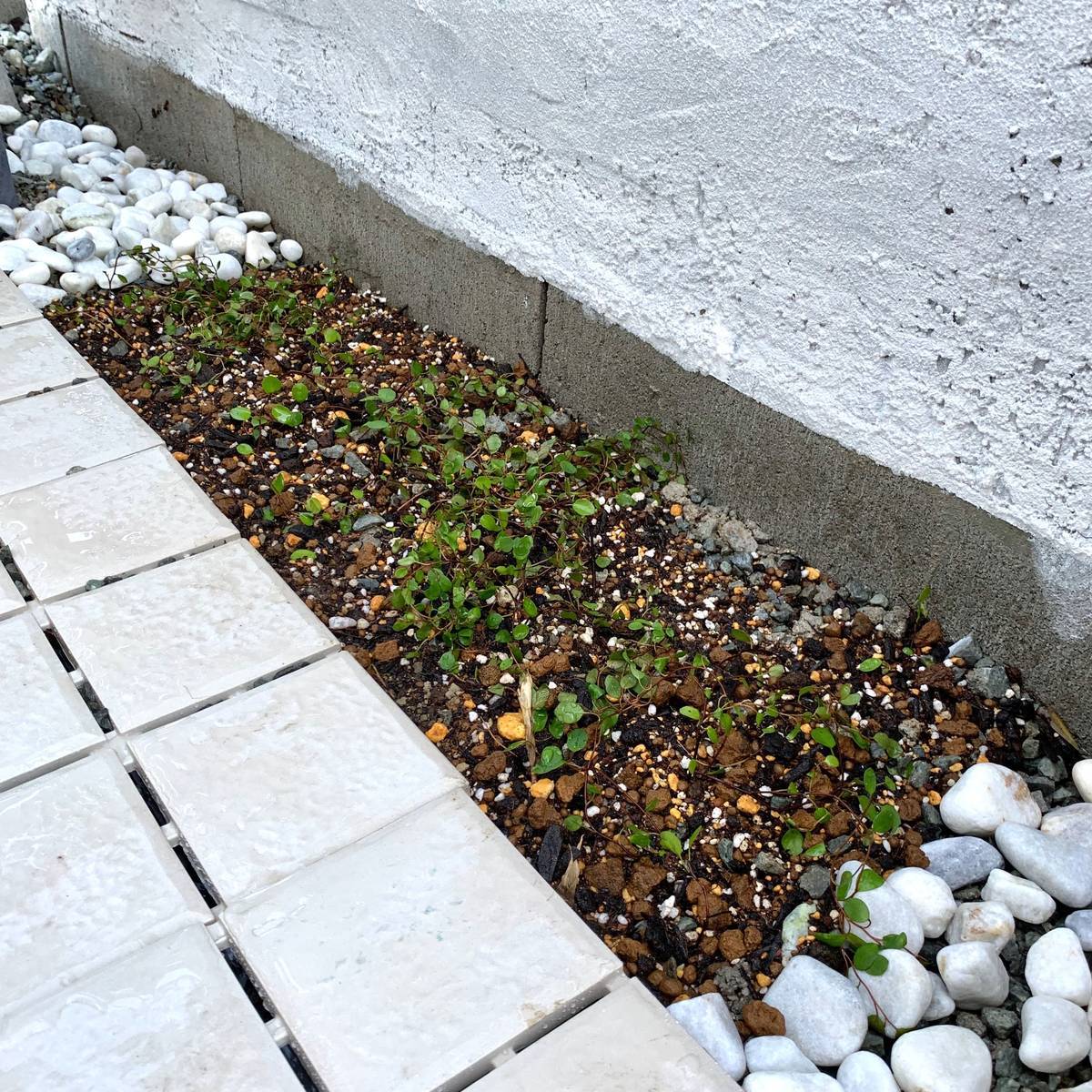 f:id:mashley_slt:20191006232550j:plain