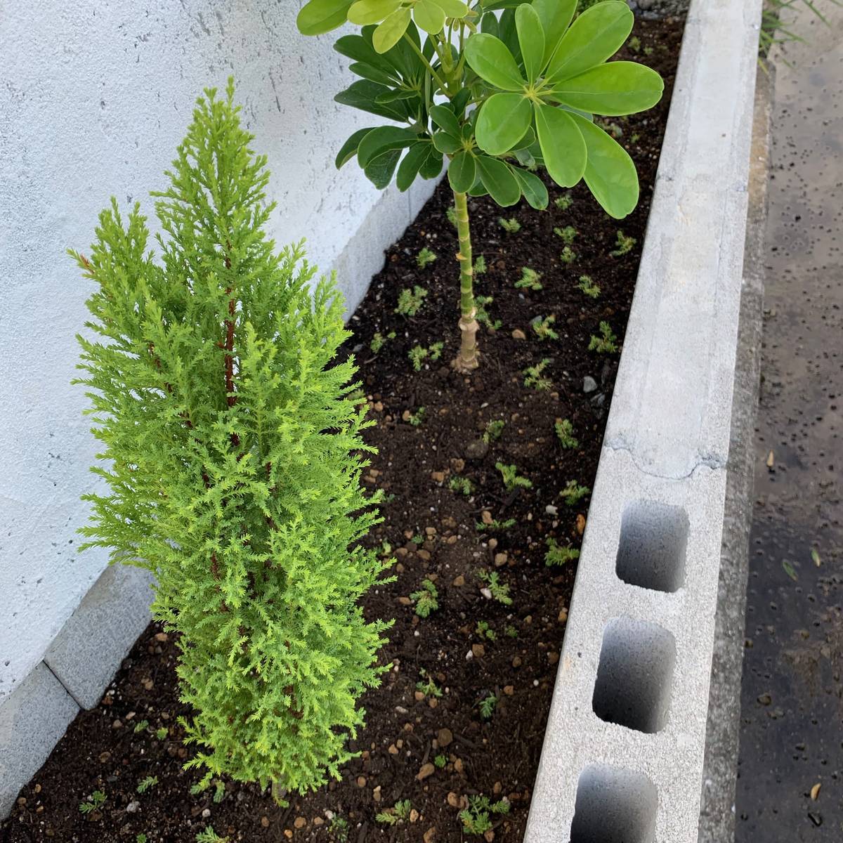 f:id:mashley_slt:20191007115526j:plain