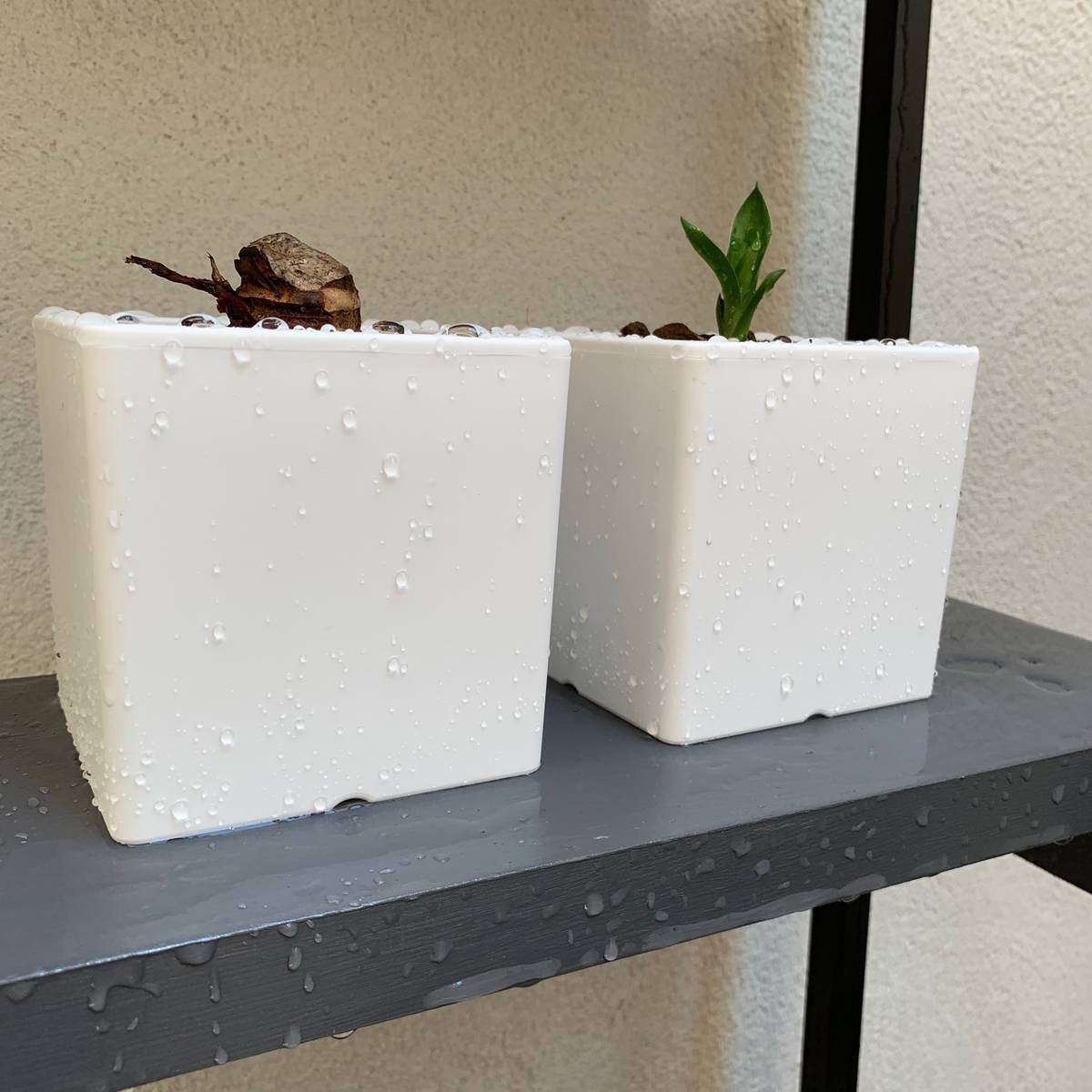 f:id:mashley_slt:20191013180107j:plain f:id:mashley_slt:20191013180107j:plain