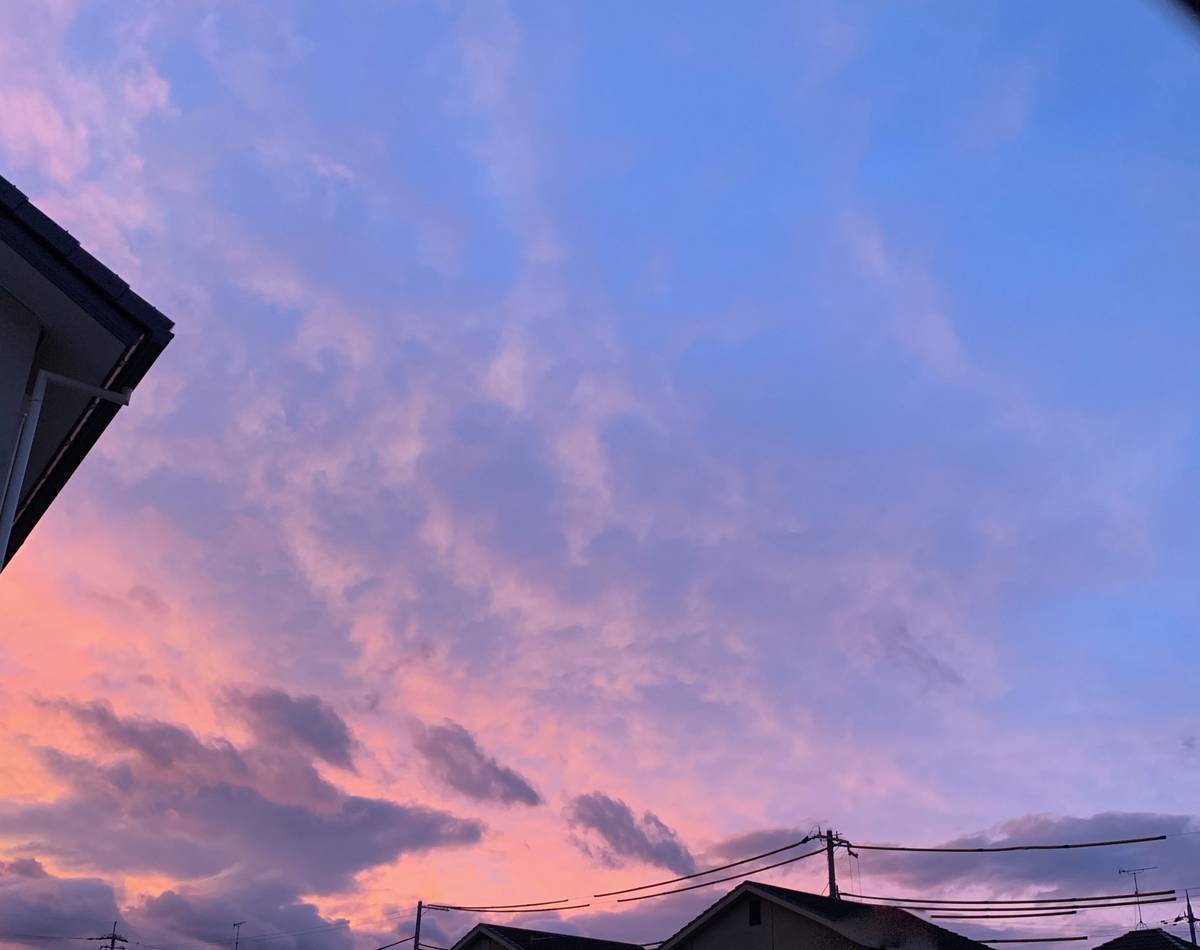 f:id:mashley_slt:20191013182311j:plain f:id:mashley_slt:20191013182311j:plain