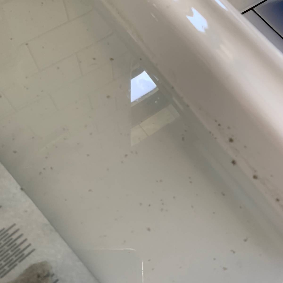 f:id:mashley_slt:20191019204913j:plain