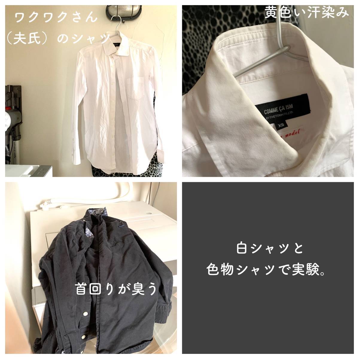 f:id:mashley_slt:20191019205647j:plain