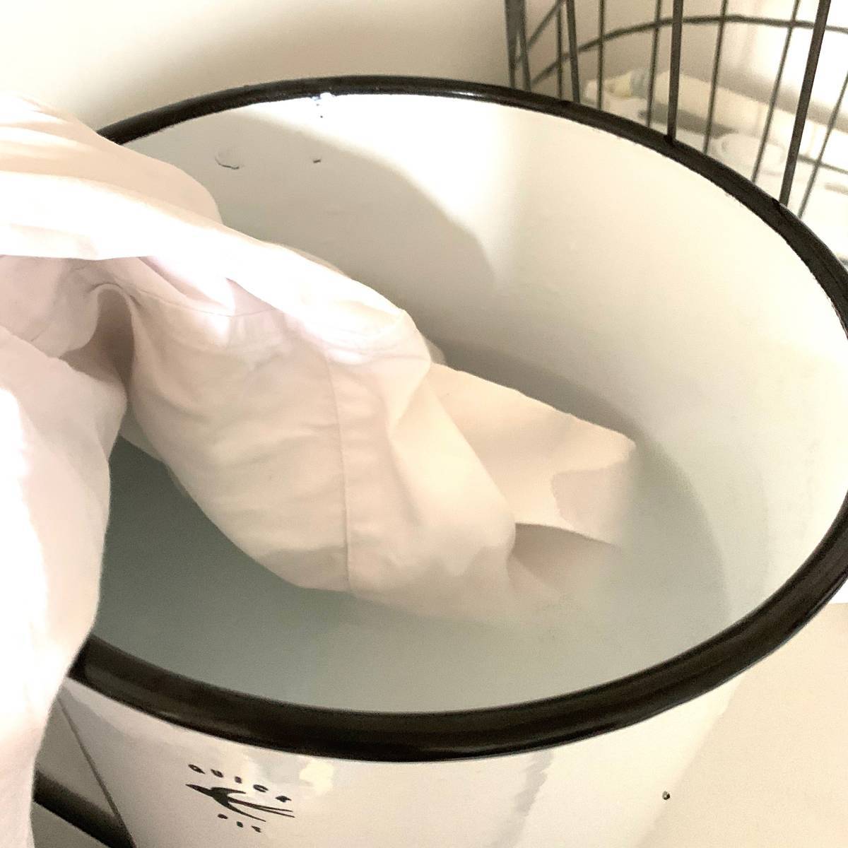 f:id:mashley_slt:20191019210422j:plain