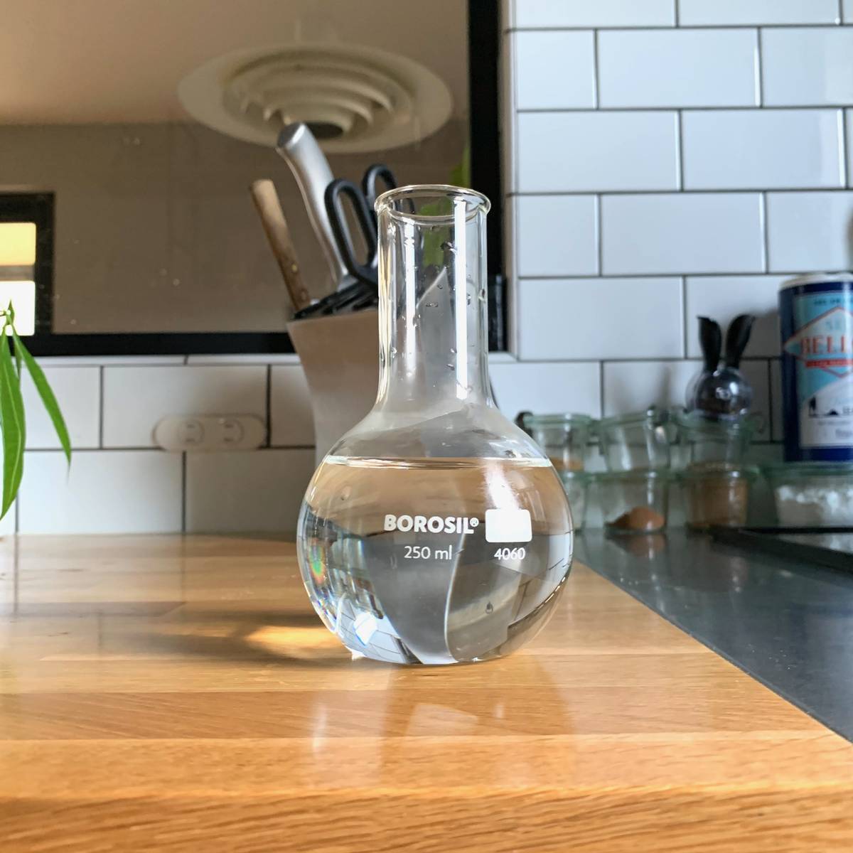 f:id:mashley_slt:20191027214944j:plain