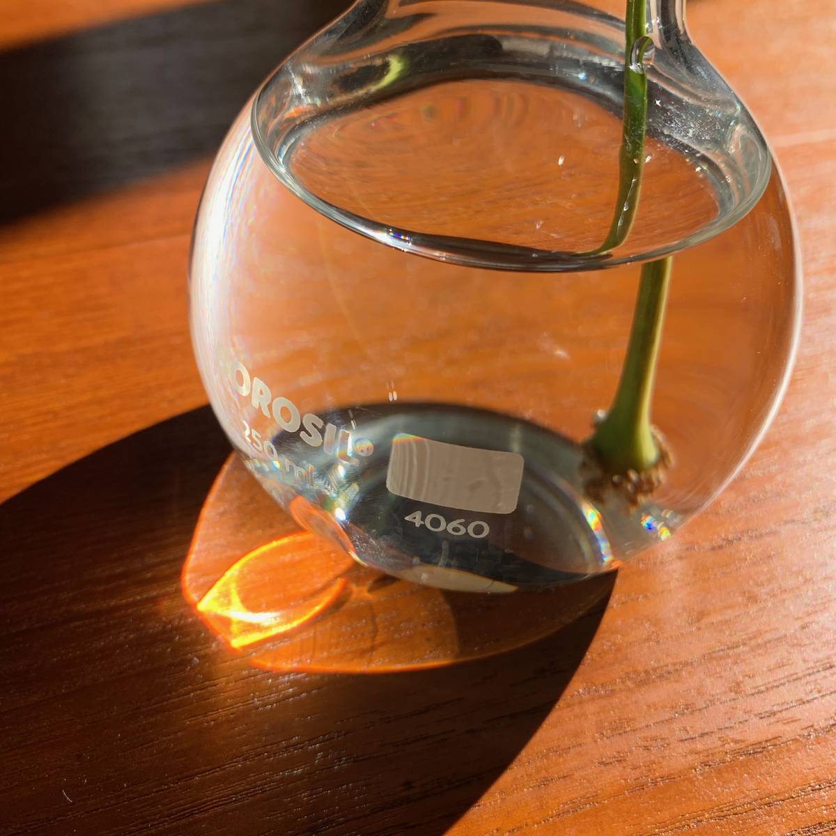 f:id:mashley_slt:20191027215556j:plain