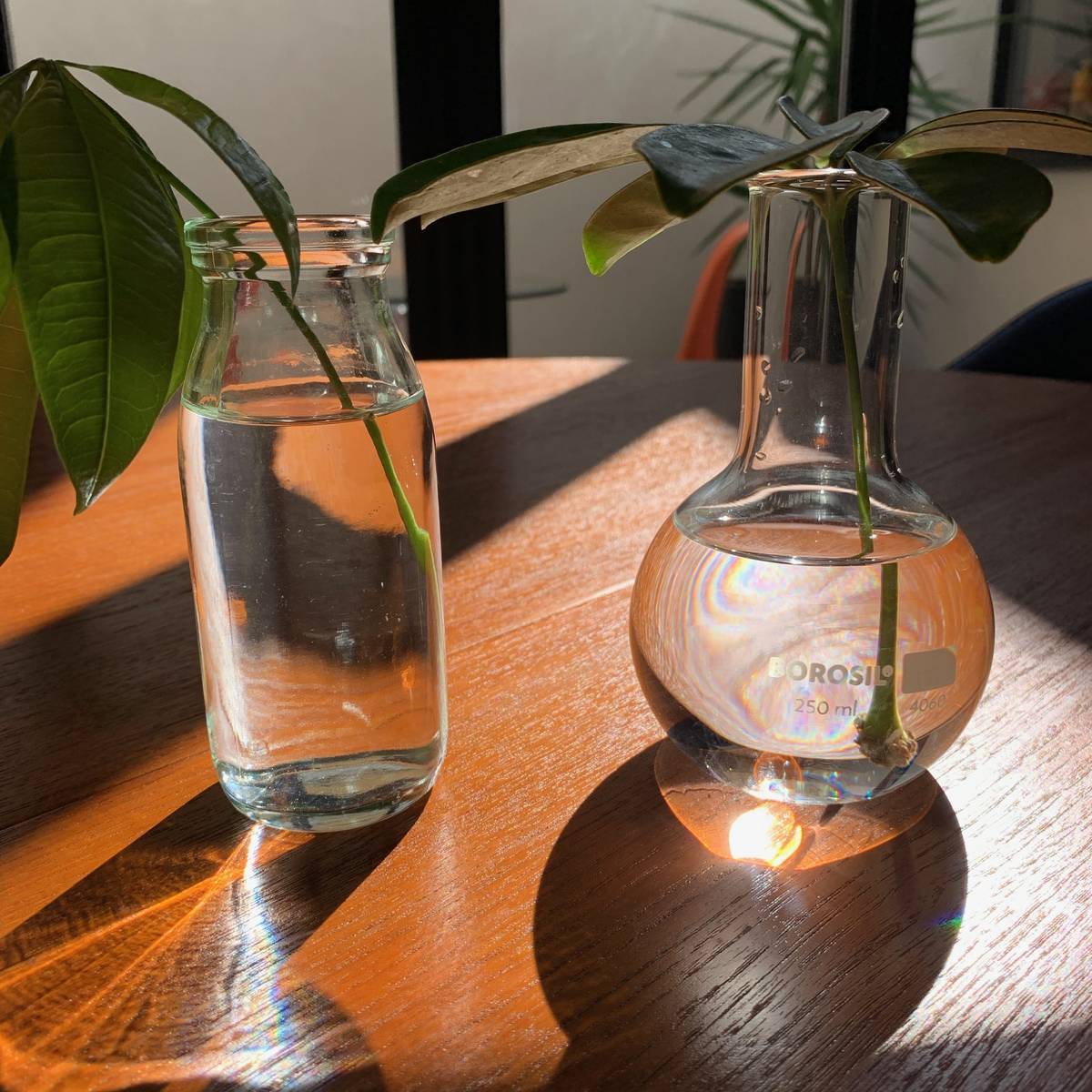 f:id:mashley_slt:20191027215629j:plain