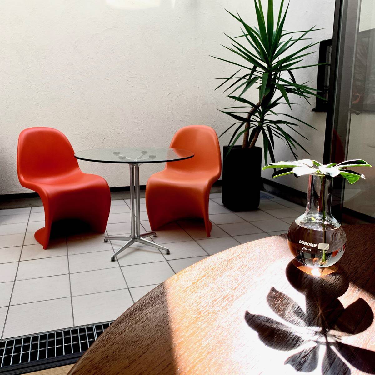 f:id:mashley_slt:20191027215747j:plain