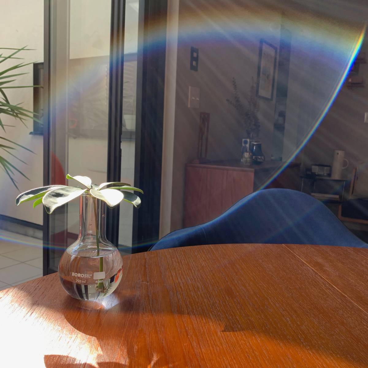 f:id:mashley_slt:20191027220007j:plain