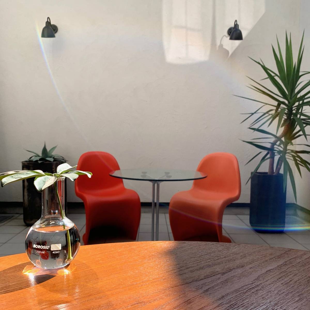 f:id:mashley_slt:20191027221500j:plain