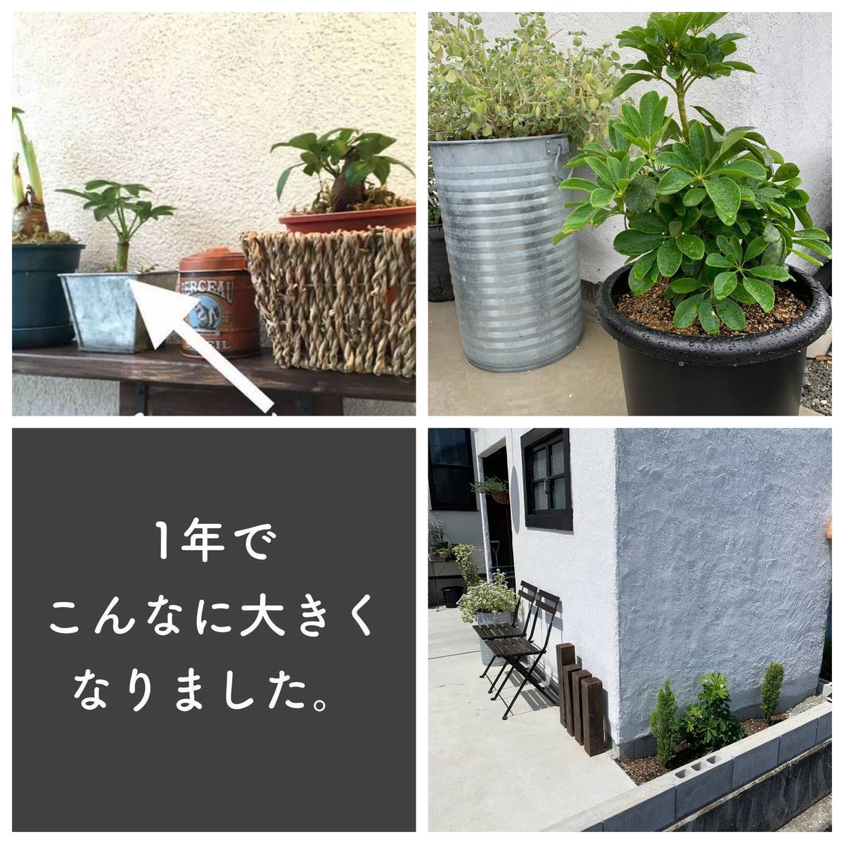 f:id:mashley_slt:20191110195206j:plain f:id:mashley_slt:20191110195206j:plain