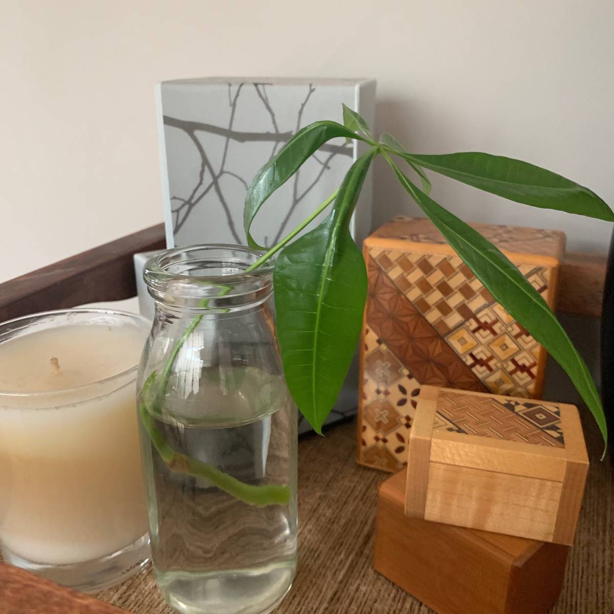 f:id:mashley_slt:20191110195630j:plain f:id:mashley_slt:20191110195630j:plain